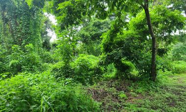 Terreno esquinero de venta en la Urbanización Lago de Capeira, 720 m2.