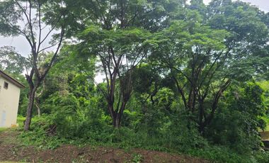 Terreno esquinero de venta en la Urbanización Lago de Capeira, 720 m2.