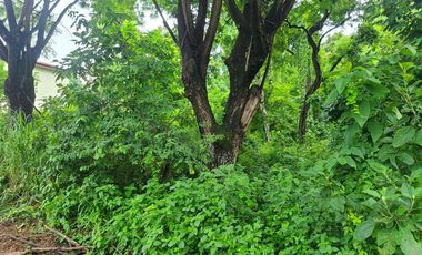 Terreno esquinero de venta en la Urbanización Lago de Capeira, 720 m2.