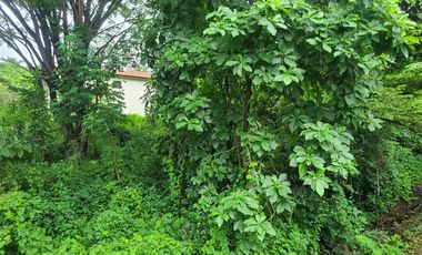 Terreno esquinero de venta en la Urbanización Lago de Capeira, 720 m2.