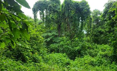 Terreno esquinero de venta en la Urbanización Lago de Capeira, 720 m2.