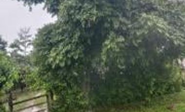 Vendo Terreno Las cumbres Lamas Tarapoto