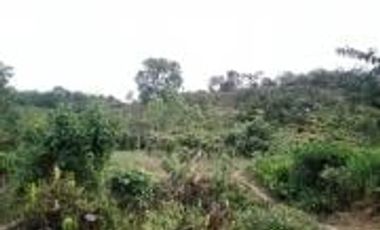 Vendo Terreno Las cumbres Lamas Tarapoto