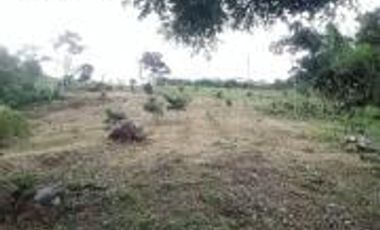 Vendo Terreno Las cumbres Lamas Tarapoto