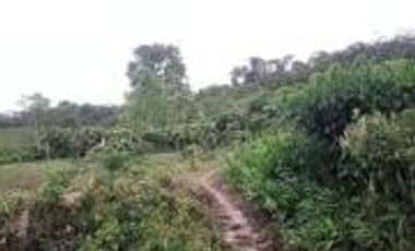 Vendo Terreno Las cumbres Lamas Tarapoto