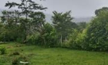 Vendo Terreno Las cumbres Lamas Tarapoto