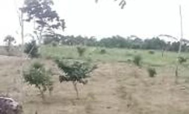 Vendo Terreno Las cumbres Lamas Tarapoto