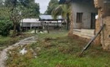 Vendo Terreno Las cumbres Lamas Tarapoto