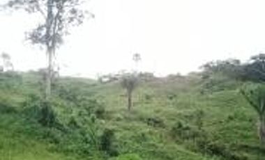 Vendo Terreno Las cumbres Lamas Tarapoto