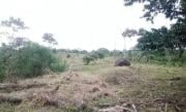 Vendo Terreno Las cumbres Lamas Tarapoto