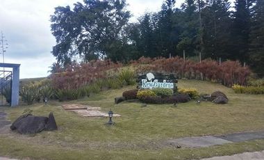 Tagaytay Highlands, 250sqm, 6M
