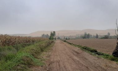 Terrenos en Paracas Rústicos de 73.5 y 9.4 has
