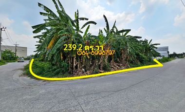 Land for sale near Ratchaphruek Road, alley behind Home Pro Ratchaphruek, 239.2 sq wah, corner plot, next to the road on 2 sides, already filled in, selling the entire plot for 12 million.