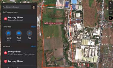 50 Hectares Agro-Industrial Land Near TIPCO Mabalacat-Magalang Highway 4000/sqm