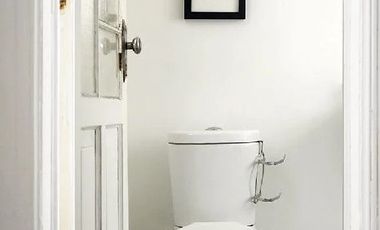 RÍO LERMA 50 VENDE AMPLIA CASA CON ROOF GARDEN