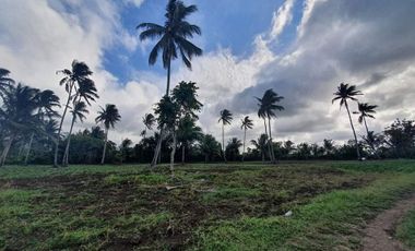 Farm Lot Land in Alfonso Cavite
