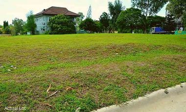 Commercial Lot For Sale in Manila Southwoods