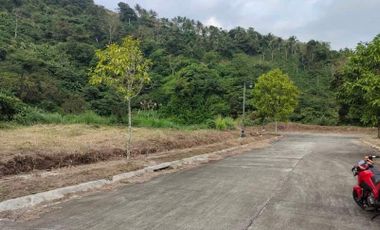 Lot For Sale in Twin Lakes Talisay, Batangas!