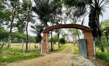 Rancho o terreno en venta en Villa Allende, San Fernando, Chiapas