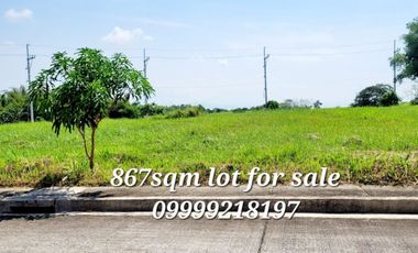 FARM AND RESIDENTIAL LOT FOR SALE