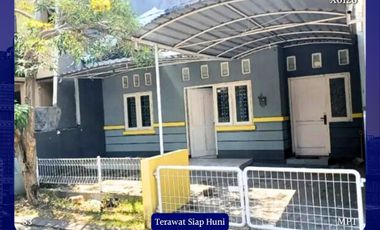 Rumah Citraland bukit Palma Pakal Surabaya Barat Siap huni Terawat Murah dekat Manukan Tandes