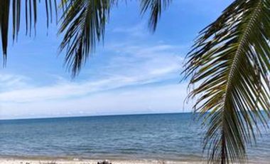 3.5 HECTARES  WHITE-SANDY BEACHFRONT PROPERTY,  CABANAS, INGROUND SWIMMING POOL, OWN-ELECTRICITY, AND POTABLE WATER SOURCE, SITUATED AT BRGY. TIGMAN, ABORLAN, PALAWAN, PHILIPPINES