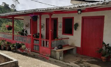 Vendo casa finca cafetera en Jerico Antioquia