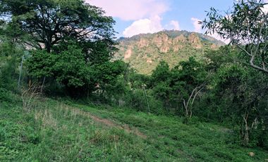Terreno en venta con vista hacia las montañas del enigmático pueblo de Amatlán