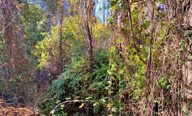 Venta sitio Quinchamalí centrico