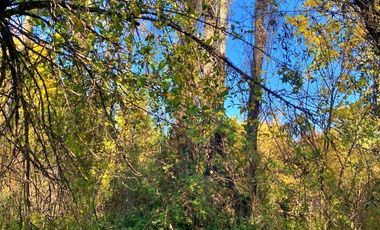 Venta sitio Quinchamalí centrico