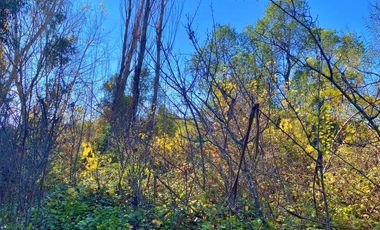 Venta sitio Quinchamalí centrico