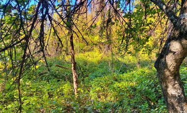 Venta sitio Quinchamalí centrico