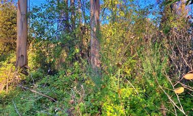 Venta sitio Quinchamalí centrico