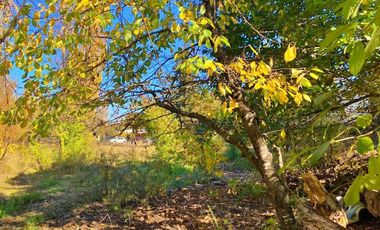 Venta sitio Quinchamalí centrico