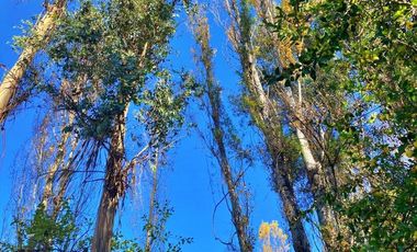 Venta sitio Quinchamalí centrico