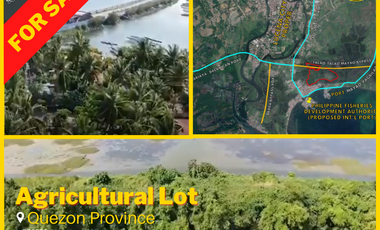 30,169 SQM  Land in Lucena, Quezon Province For Sale