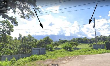 Lot for sale in Canlaon City
