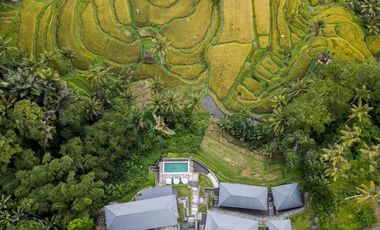 Freehold - Rice Field Vista Retreat Serene Luxury Living in Ubud's Panoramic Paradise