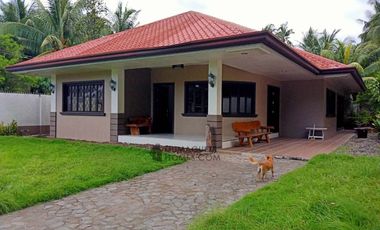- NOT AVAILABLE (OCCUPIED) -   HOUSE FOR RENT IN DAUIN