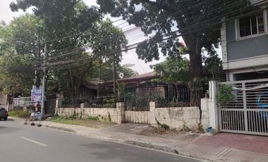 389.50 sqm Prime Commercial Lot for Sale along Mayon Ave, Brgy. Maharlika, Sta. Mesa Heights, Quezon City