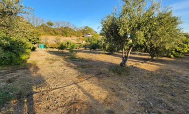 Olmué, altura paradero 15, totalmente amoblado