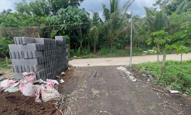 500 SQ.M GATED RESIDENTIAL FARM LOT IN AMADEO CAVITE NEAR EAST WEST ROAD