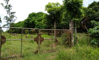 Discover Your Dream Farm in Sinuagan, Pototan, Iloilo: An Oasis of Opportunity!