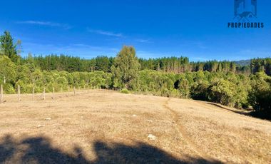 PARCELA DE DOS HECTÁREAS EN LA UNIÓN, RAPACO ÑANCULEN BAJO