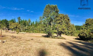 PARCELA DE DOS HECTÁREAS EN LA UNIÓN, RAPACO ÑANCULEN BAJO