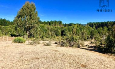 PARCELA DE DOS HECTÁREAS EN LA UNIÓN, RAPACO ÑANCULEN BAJO