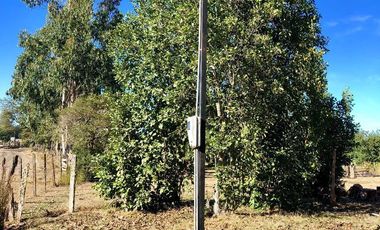 PARCELA DE DOS HECTÁREAS EN LA UNIÓN, RAPACO ÑANCULEN BAJO