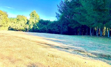 PARCELA DE DOS HECTÁREAS EN LA UNIÓN, RAPACO ÑANCULEN BAJO