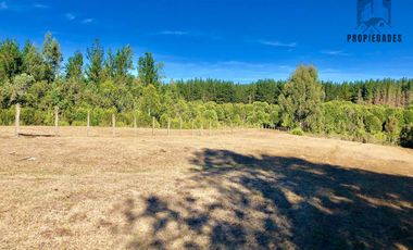 PARCELA DE DOS HECTÁREAS EN LA UNIÓN, RAPACO ÑANCULEN BAJO