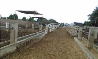 OCASIÓN LURÍN TERRENO CERCADO DE 6,000m2, IDEAL PARA ESTABLO O CRIANZA DE ANIMALES